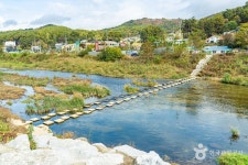 [효석문학100리길 2코스] 대화장터 가는 길 레저스포츠 정보와 주변 관광 명소 및 근처 맛집 여행 정보