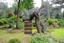 장흥자생수목원 관광 정보와 주변 관광 명소 및 근처 맛집 여행 정보