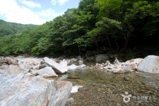 ペムサ谷（뱀사골계곡） - 観光 - 韓国旅行・観光情報