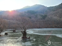 Ảnh kết quả tìm kiếm Naver 1
