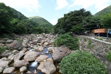 느티나무야영장 레저스포츠 정보와 주변 관광 명소 및 근처 맛집 여행 정보