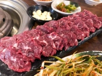 워낭소리정육점식당 음식점 정보와 주변 관광 명소 및 근처 맛집 여행 정보