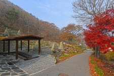 Seongmodo Island Arboretum (석모도 수목원) - Sightseeing - Korea travel and tourism information