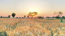 강나루생태공원 관광 정보와 주변 관광 명소 및 근처 맛집 여행 정보