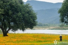 핫들생태공원 관광 정보와 주변 관광 명소 및 근처 맛집 여행 정보