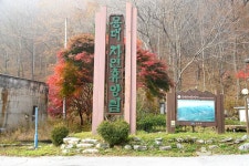 국립 용대자연휴양림 관광 정보와 주변 관광 명소 및 근처 맛집 여행 정보