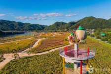 산소카페 청송정원 관광 정보와 주변 관광 명소 및 근처 맛집 여행 정보