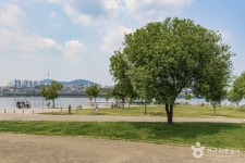 반포한강공원 관광 정보와 주변 관광 명소 및 근처 맛집 여행 정보