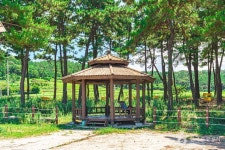 송계어촌체험휴양마을 관광 정보와 주변 관광 명소 및 근처 맛집 여행 정보