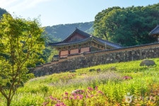 용문사(예천) 관광 정보와 주변 관광 명소 및 근처 맛집 여행 정보