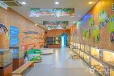 영암곤충박물관 문화 정보와 주변 관광 명소 및 근처 맛집 여행 정보
