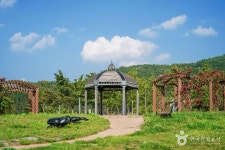 위천수변테마공원 관광 정보와 주변 관광 명소 및 근처 맛집 여행 정보