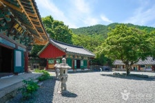 소재사(대구) 관광 정보와 주변 관광 명소 및 근처 맛집 여행 정보