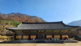 산돼지마을 - 주변 여행 및 근처 관광 명소 - 국내 여행 정보와 관광 명소 정보