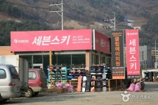 하이원리조트 스키장 - 주변 여행 및 근처 관광 명소 - 국내 여행 정보와 관광 명소 정보