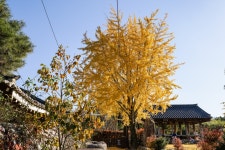 Birthplace of Baekje Buddhism (백제불교최초도래지) - Sightseeing - Korea travel and tourism information