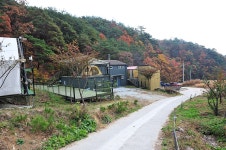 룩스글램핑앤팜 레저스포츠 정보와 주변 관광 명소 및 근처 맛집 여행 정보