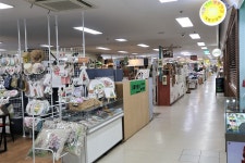 신안프라자 쇼핑 정보와 주변 관광 명소 및 근처 맛집 여행 정보