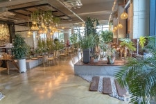 갈촌126 음식점 정보와 주변 관광 명소 및 근처 맛집 여행 정보