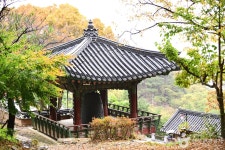 여행지 정보 < 여행정보 | 광주공항(국문) 여행지 정보