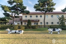 와우목장 관광 정보와 주변 관광 명소 및 근처 맛집 여행 정보