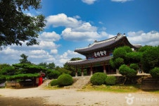 위스테리아 - 주변 여행 및 근처 관광 명소 - 국내 여행 정보와 관광 명소 정보