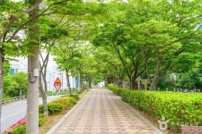 성안숯못생태공원 관광 정보와 주변 관광 명소 및 근처 맛집 여행 정보