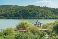 우산국초밥 - 주변 여행 및 근처 관광 명소 - 국내 여행 정보와 관광 명소 정보
