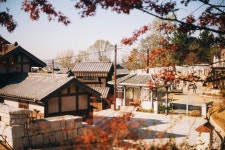 금산만악리수목원 오토캠핑장 - 주변 여행 및 근처 관광 명소 - 국내 여행 정보와 관광 명소 정보