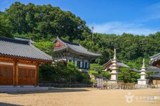 용문사(예천) 관광 정보와 주변 관광 명소 및 근처 맛집 여행 정보