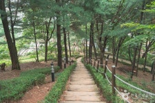 수진공원 관광 정보와 주변 관광 명소 및 근처 맛집 여행 정보