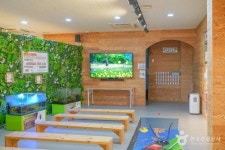 영암곤충박물관 문화 정보와 주변 관광 명소 및 근처 맛집 여행 정보