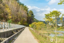 [효석문학100리길 2코스] 대화장터 가는 길 레저스포츠 정보와 주변 관광 명소 및 근처 맛집 여행 정보