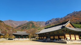 표충사호국박물관 문화 정보와 주변 관광 명소 및 근처 맛집 여행 정보