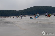 구례포해수욕장 | NOL 인터파크투어 프리야 여행정보 [대한민국>충청남도 태안군] 여기 가고싶어요! [구례포해수욕장] 태안읍 광장사거리에서... 