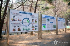 금강소나무생태경영림 관광 정보와 주변 관광 명소 및 근처 맛집 여행 정보