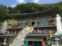 약사사(경기) 관광 정보와 주변 관광 명소 및 근처 맛집 여행 정보