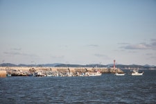 Mageompo Beach (마검포해수욕장) - Sightseeing - Korea travel and tourism information