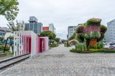 강릉 월화거리 관광 정보와 주변 관광 명소 및 근처 맛집 여행 정보
