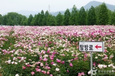 핫들생태공원 관광 정보와 주변 관광 명소 및 근처 맛집 여행 정보