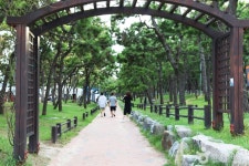 캔버스 블랙 - 주변 여행 및 근처 관광 명소 - 국내 여행 정보와 관광 명소 정보