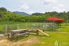 PTP 애견테마파크 관광 정보와 주변 관광 명소 및 근처 맛집 여행 정보