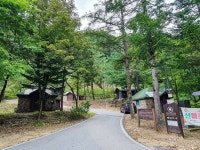 국립 삼봉자연휴양림 관광 정보와 주변 관광 명소 및 근처 맛집 여행 정보