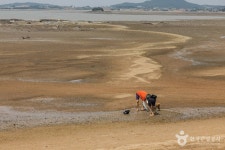 홀통유원지·홀통해변 관광 정보와 주변 관광 명소 및 근처 맛집 여행 정보