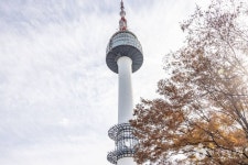 남산공원(서울) 관광 정보와 주변 관광 명소 및 근처 맛집 여행 정보