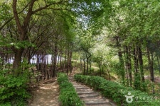 오동근린공원 관광 정보와 주변 관광 명소 및 근처 맛집 여행 정보
