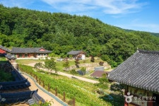 용문사(예천) 관광 정보와 주변 관광 명소 및 근처 맛집 여행 정보