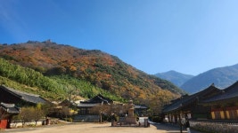 표충사호국박물관 문화 정보와 주변 관광 명소 및 근처 맛집 여행 정보