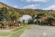 다화림식물원&치유정원 관광 정보와 주변 관광 명소 및 근처 맛집 여행 정보