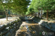 Chilgapsan Recreational Forest (칠갑산자연휴양림) - Sightseeing - Korea travel and tourism information